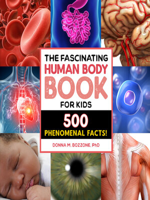 cover image of The Fascinating Human Body Book for Kids